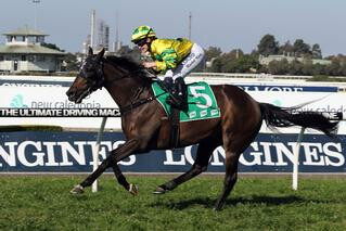 Dee I Cee (NZ) claimed a dominant win in the Listed Premier's Cup at Rosehill. Photo: Equine Images
